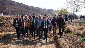 Bursaspor’dan Gürsu’ya fidan seferberliği