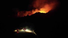 Çanakkale'de Yanan Alanların Rehabilitasyonunda Yeni Yaklaşımlar Çalıştayı