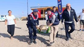 Caretta Caretta Zühal, Yeniden Denizle Buluştu