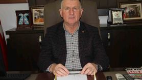 Çarşamba Ovası tarımdan uzaklaşıyor: Verimli araziler ağaçlaşıyor