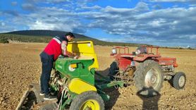 Çavdarhisar'da buğday ve tritikale demonstrasyon ekimleri gerçekleştirildi
