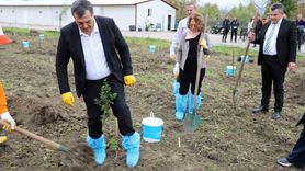 Dalaman Açık Ceza İnfaz Kurumu’nda 10 Dekarlık Sakız Ağacı Bahçesi Kuruldu