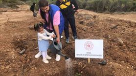 Datça'da 300 fidan toprakla buluştu