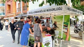 Datça’da 'Yeşil Vatan' seferberliği: Ücretsiz fidan dağıtımı