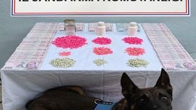 Denizli'de uyuşturucu tacirlerine operasyon