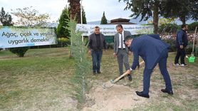 Denizli'de 'Yeşeren Eller Hareketi' ile 250 Fidanlık Dikim Başladı