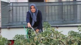 Depremzede Kadın Bahçesiyle Yeni Yuvasını Güzelleştiriyor