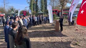 Devrek'te 11 Kasım'da 400 fidan toprakla buluştu
