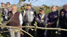 Doğru Budama ile 500 m²’lik Bahçe 10 Dönümlük Bahçeyi Geçti