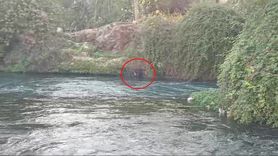 Düden Çayı’na düşen kişi itfaiye ve AFAD ekiplerince kurtarıldı