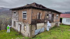 Düzce'de Kahverengi Kokarca ile Mücadele Sürüyor