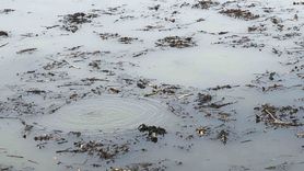 Efteni Gölü’nde dipten yükselen kabarcıklar endişe yarattı