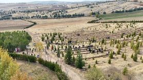 Elazığ'da Doğu Türkistan ve Filistin için fidan dikildi