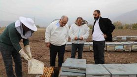 Elazığ'da Geven Balı Kolonileri Yerinde Denetlendi