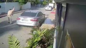 Emekli Polis İçin Köpeği Vurma Davasında 4 Yıl Hapis İsteniyor