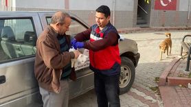 Emet Günlüce'de sahipli kedi ve köpeklere mikroçip ve kuduz aşısı uygulandı