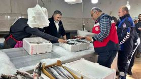 Emet'te Su Ürünleri Denetimi: Hijyen ve Mevzuata Uygunluk Kontrol Edildi