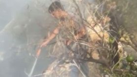 Erdemli'de makilik yangını narenciye bahçelerine sıçramadan kontrol altına alındı