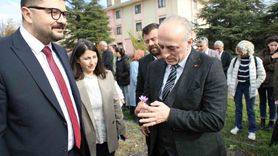 Eskişehir, Safran Üretiminde Öne Çıkıyor