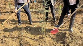 Evren’de 11 Kasım’da fidan dikme etkinliği