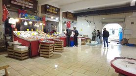 Foça Balık Hali'nde kış: Sardalya ve Uskumru zamanı