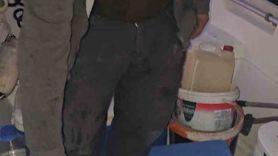 Gemlik Körfezi'nde benekli balon balığı alarmı