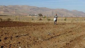 Gercüş'te çiftçiler kış ekimine başladı