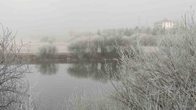 Göle'de eksi 13°C: Ağaçlar kırağıyla kaplandı