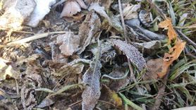 Göle, dün gece eksi 6,4 ile Türkiye'nin en soğuk yerleşimi oldu