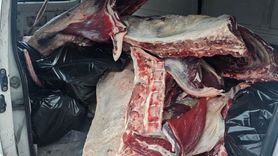 Hatay’ın Erzin ilçesinde menşei belirsiz 1 ton kırmızı et ele geçirildi