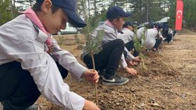 İhsangazi'de 11 Kasım'da yüzlerce fidan toprakla buluştu