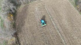 İhsangazi'de 12 bin yıllık siyez buğdayı toprakla buluştu