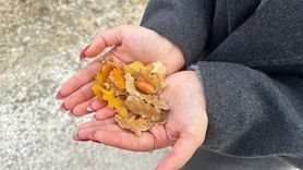 Ilgaz Dağları'nda kartpostallık sonbahar manzaraları