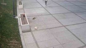 İnegöl'de kamusal alanda çekirdek atığına anında müdahale