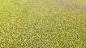 İstanbul’da Ömerli Barajı’nda su seviyesi kritik düzeye indi