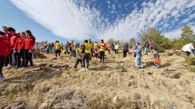 Karaman'da Milli Ağaçlandırma Günü'nde 5 bin çam fidanı dikildi