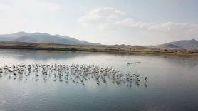 Karataş Gölü kuraklığa teslim oldu