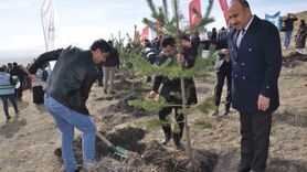 Kars’ta 5 bin 500 fidan Paşaçayır’da toprağa verildi