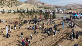 Kırıkkale’de Binlerce Fidan Toprakla Buluştu — Milli Ağaçlandırma Günü