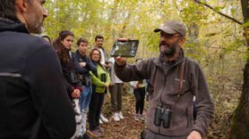 Kocaeli'de Doğa Turizmi: Ormanya ve Kuzuyayla'ın Büyüleyici Çekimi