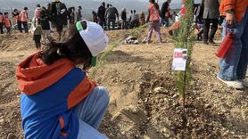 Konya'da 11 Kasım'da 33 bin 811 fidan toprakla buluştu