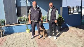 Köpek Eğitmeni Eren Ay'dan Önemli Eğitim Uyarıları