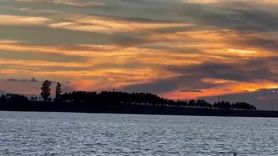 Köyceğiz Göleti'nde Yaban Ördeklerinin Sonbahar Gösterisi