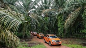 Malezya ile ABD arasında palm yağı rekabeti