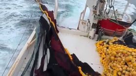 Marmara Denizi'nde Bereketli Av Sevinci