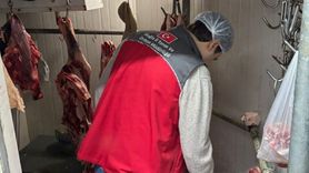 Menteşe'de kasap ve et işletmelerine kapsamlı ortak denetim