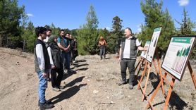 Mersin Orman Bölge Müdürlüğü'nde aday mühendis refiklik eğitimi tamamlandı