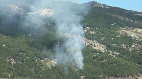 Muğla'daki Orman Yangını Kontrol Altına Alındı