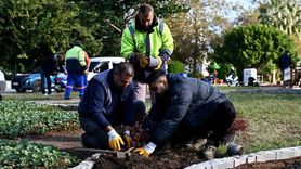 Muratpaşa Trafik Parkı mevsimlik çiçeklerle renklendi