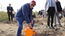 NEÜ Köyceğiz Yerleşkesi'nde Milli Ağaçlandırma Günü'nde Yüzlerce Fidan Toprakla Buluştu